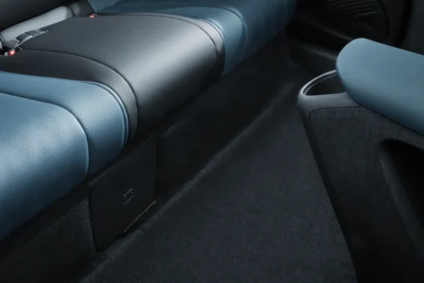 BYD-DOLPHIN-Comfortable-Rear-Passenger-Space